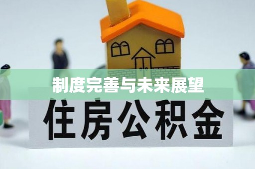 绵阳制度完善与未来展望