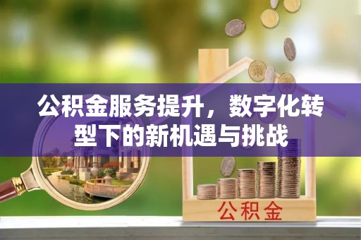 绵阳公积金服务提升，数字化转型下的新机遇与挑战