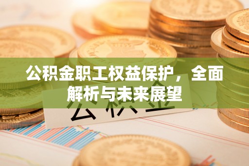 绵阳公积金职工权益保护，全面解析与未来展望