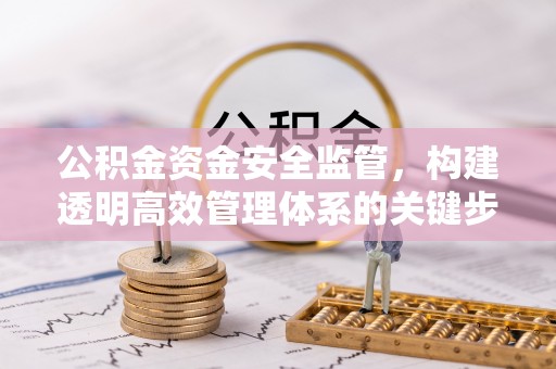 绵阳公积金资金安全监管，构建透明高效管理体系的关键步骤