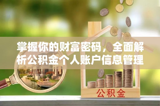绵阳掌握你的财富密码，全面解析公积金个人账户信息管理