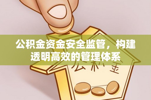 绵阳公积金资金安全监管，构建透明高效的管理体系