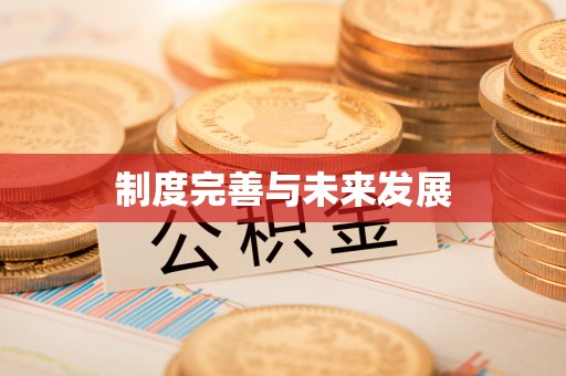 绵阳制度完善与未来发展
