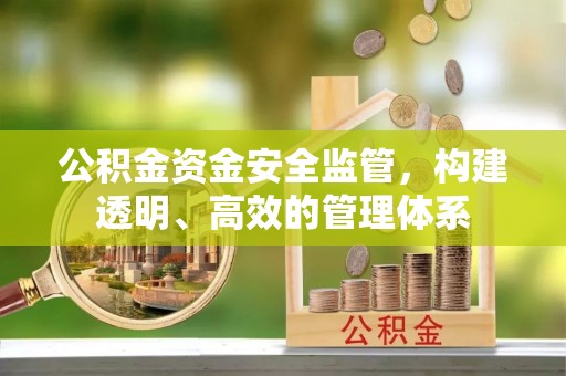 绵阳公积金资金安全监管，构建透明、高效的管理体系
