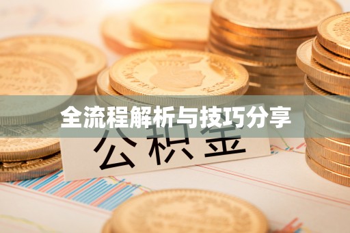 绵阳全流程解析与技巧分享